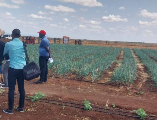 Community-Led Climate Action in Marsabit County
